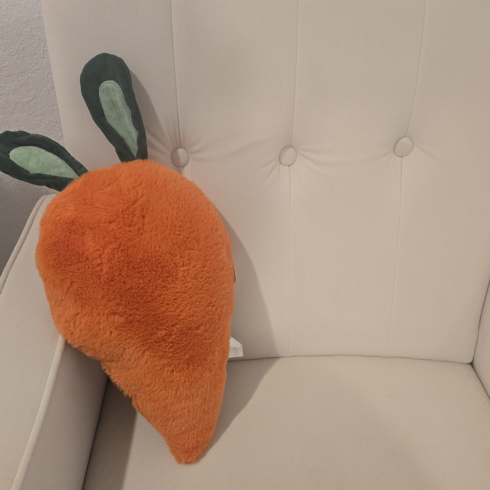 Target Carrot  Pillow